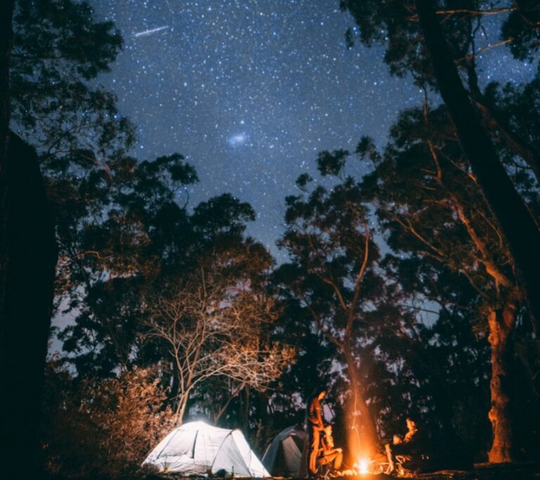 771981515c86b9808d16ef84bcb5c290b339023e